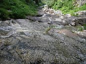 imgp019.jpg